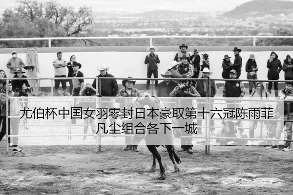 尤伯杯中国女羽零封日本豪取第十六冠陈雨菲凡尘组合各下一城